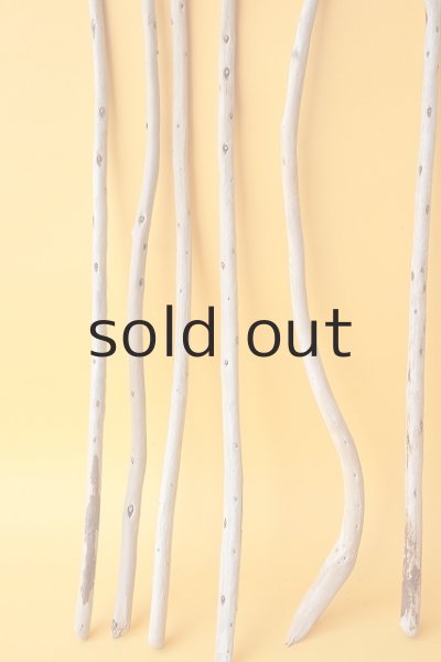 画像4: 棒流木セット (4)