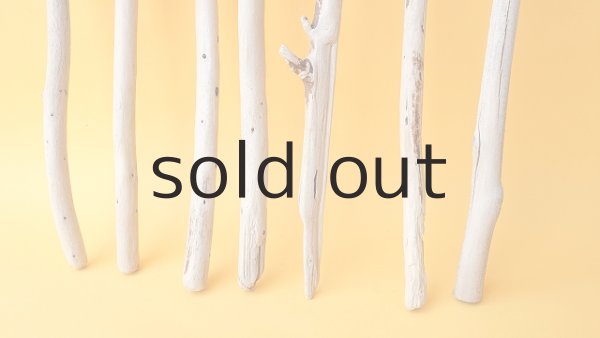 画像2: 棒流木セット (2)