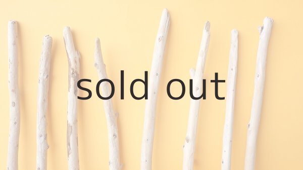 画像3: 棒流木セット (3)