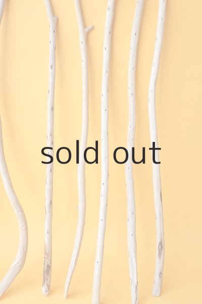 画像5: 棒流木セット (5)