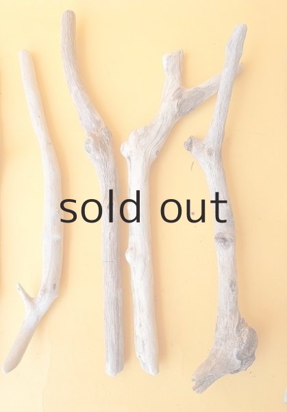 画像3: 小枝流木セット (3)