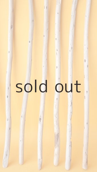 画像6: 棒流木セット (6)