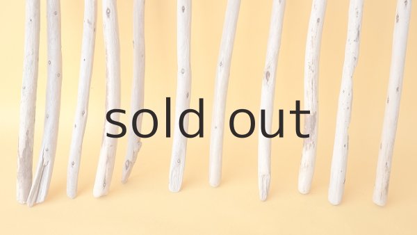 画像2: 棒流木セット (2)