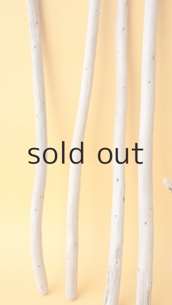 画像5: 棒流木セット (5)