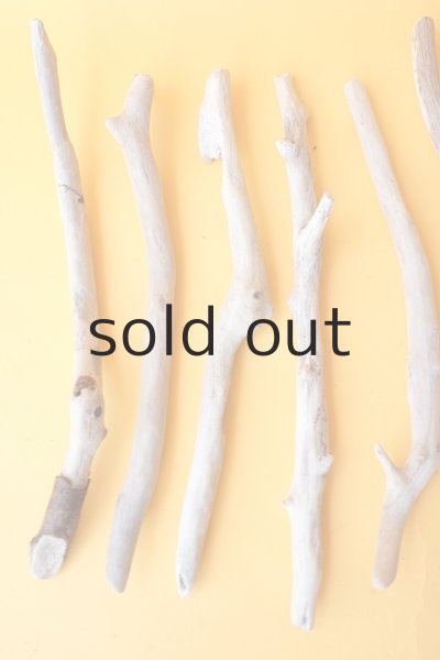 画像2: 小枝流木セット (2)