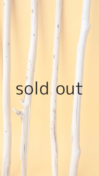 画像6: 棒流木セット (6)