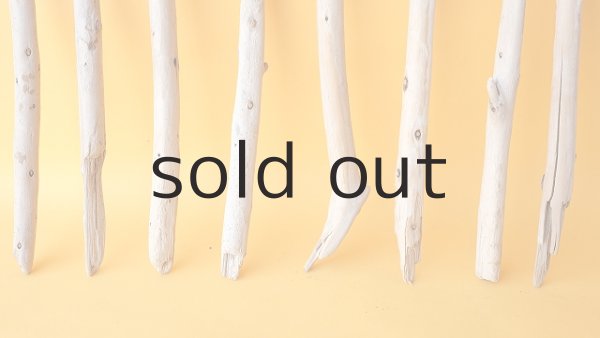 画像2: 棒流木セット (2)