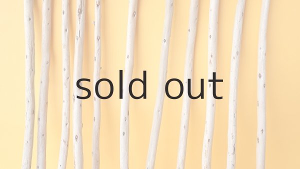 画像3: 棒流木セット (3)