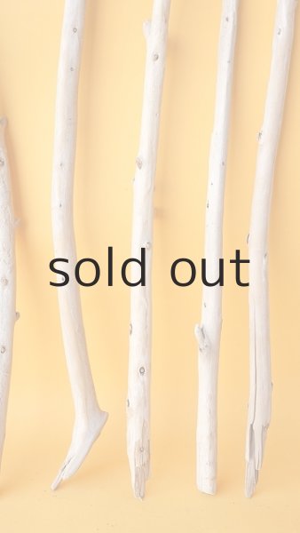 画像5: 棒流木セット (5)