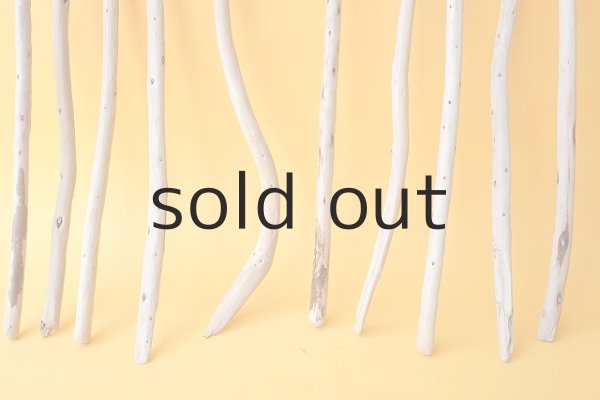 画像2: 棒流木セット (2)