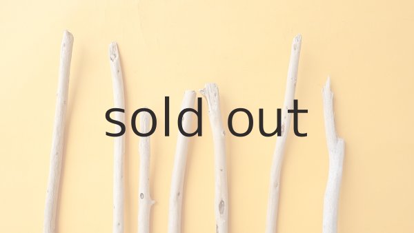 画像4: 棒流木セット (4)