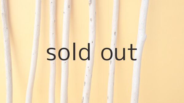 画像3: 棒流木セット (3)