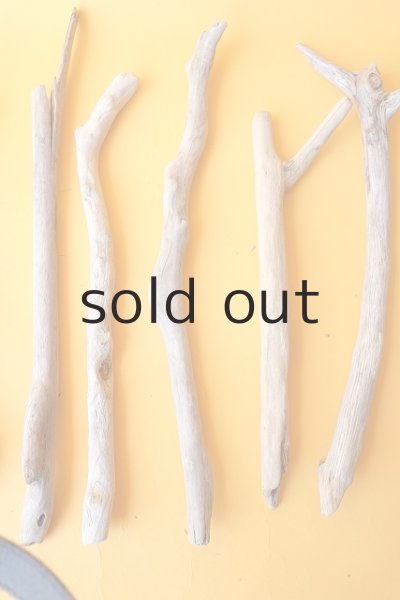 画像4: 小枝流木セット (4)