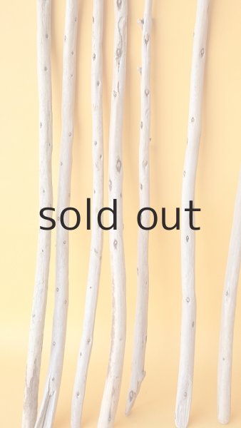 画像5: 棒流木セット (5)