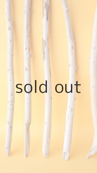 画像4: 棒流木セット (4)