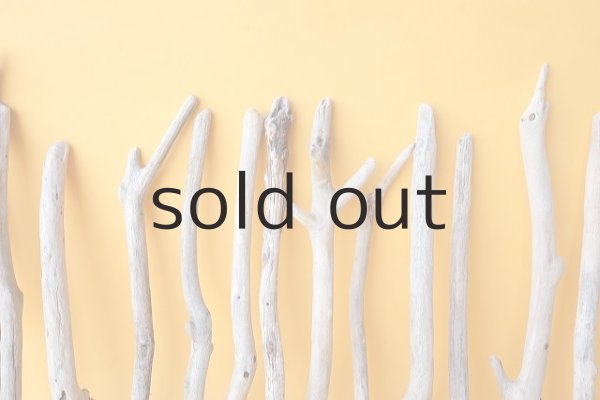 画像6: 小枝流木セット (6)