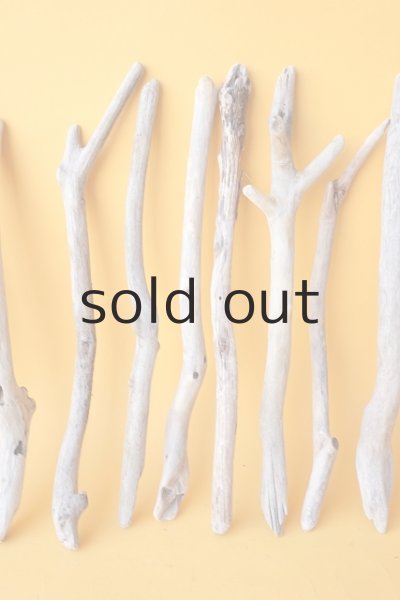 画像3: 小枝流木セット (3)