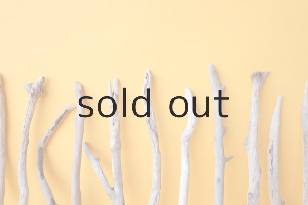 画像6: 小枝流木セット (6)