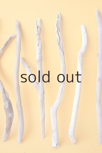 画像3: 小枝流木セット (3)