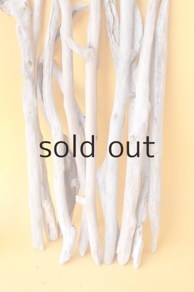 画像7: 小枝流木セット (7)