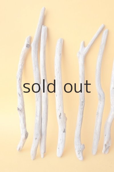 画像2: 小枝流木セット (2)