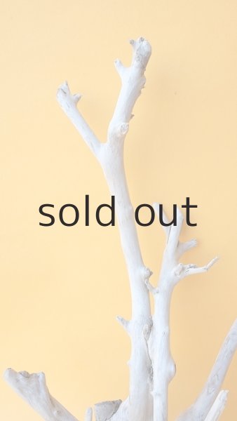 画像3: 小枝流木 (3)