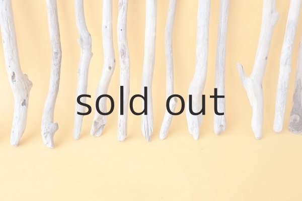 画像5: 小枝流木セット (5)