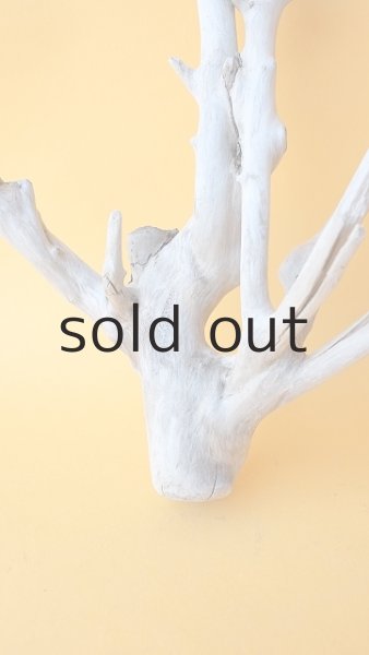 画像2: 小枝流木 (2)