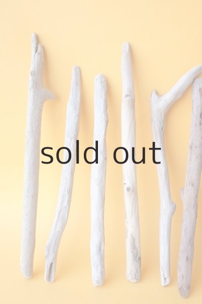 画像2: 小枝流木セット (2)