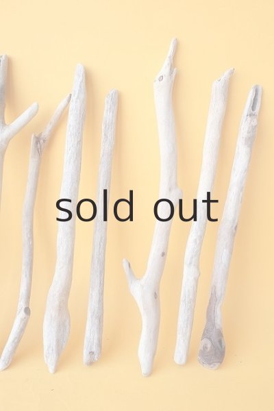 画像4: 小枝流木セット (4)