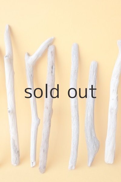 画像3: 小枝流木セット (3)