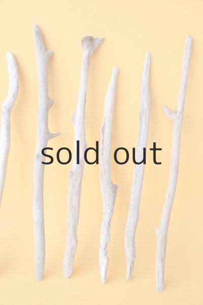 画像4: 小枝流木セット (4)