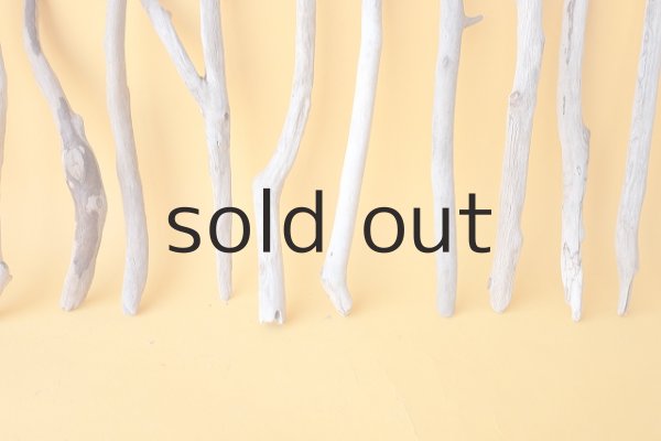 画像5: 小枝流木セット (5)