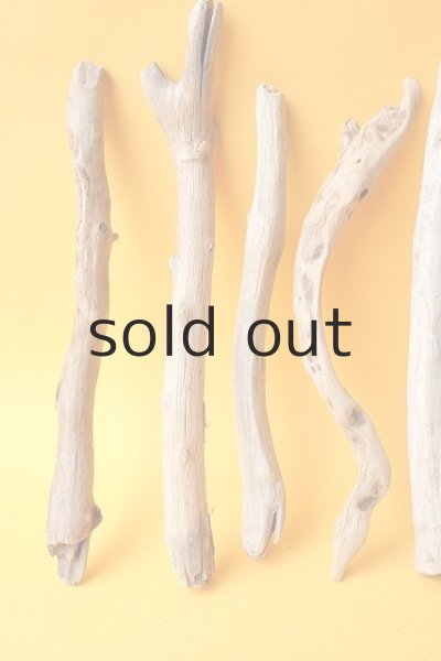 画像2: 小枝流木セット (2)