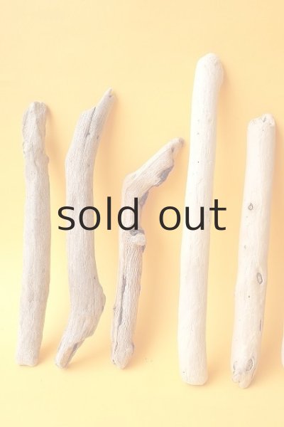 画像2: 小枝流木セット (2)