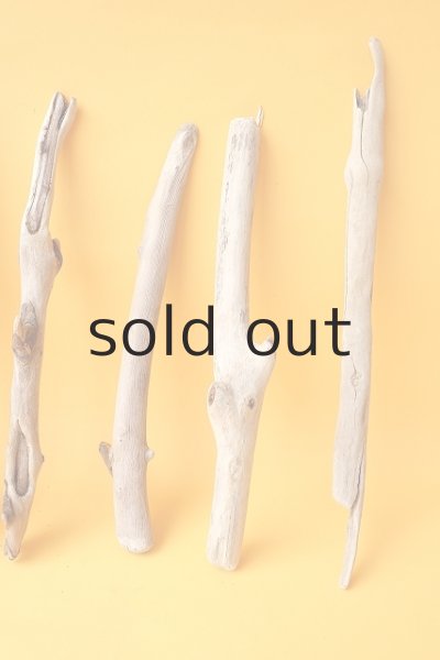 画像4: 小枝流木セット (4)