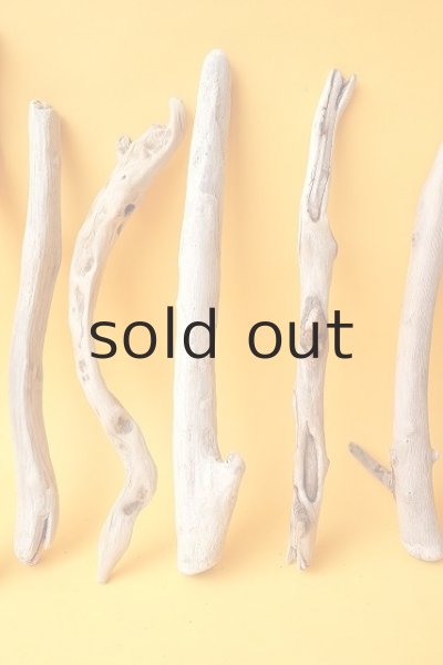 画像3: 小枝流木セット (3)