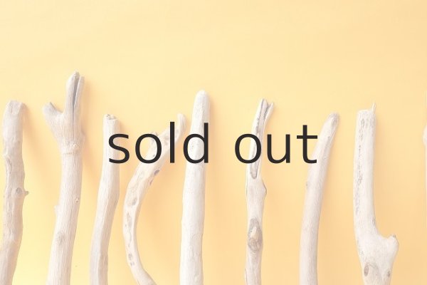 画像6: 小枝流木セット (6)