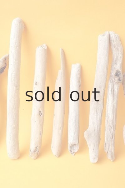 画像3: 小枝流木セット (3)