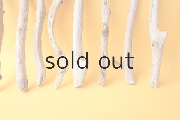 画像5: 小枝流木セット (5)