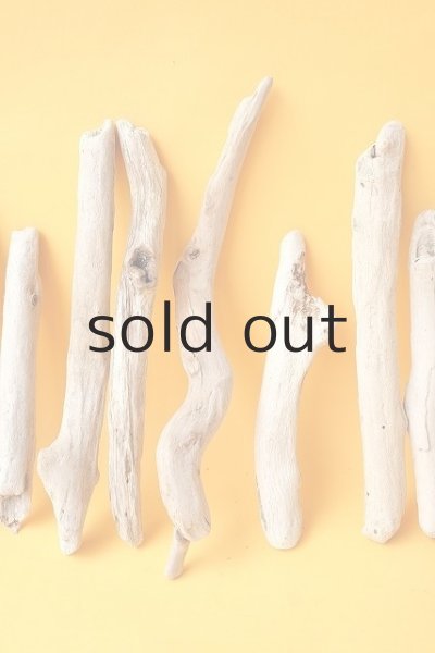 画像4: 小枝流木セット (4)