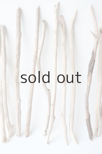 画像3: 小枝流木セット (3)