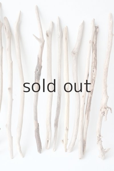 画像4: 小枝流木セット (4)