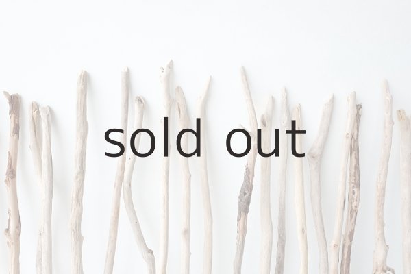 画像7: 小枝流木セット (7)