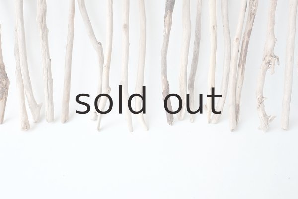 画像6: 小枝流木セット (6)