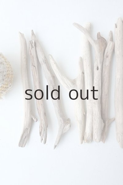 画像2: 小枝流木セット (2)