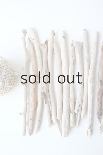 画像2: 小枝流木セット (2)