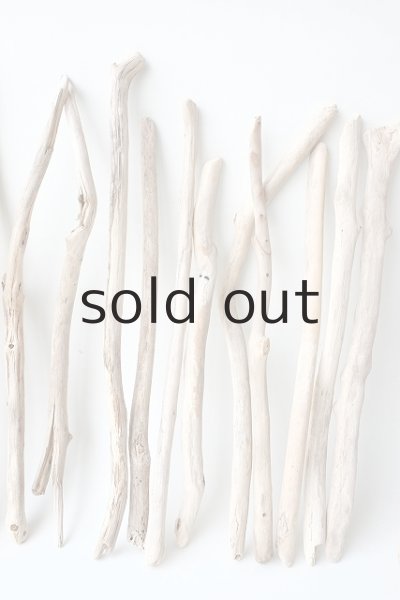 画像4: 小枝流木セット (4)