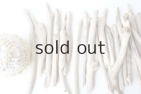 画像2: 小枝流木セット (2)