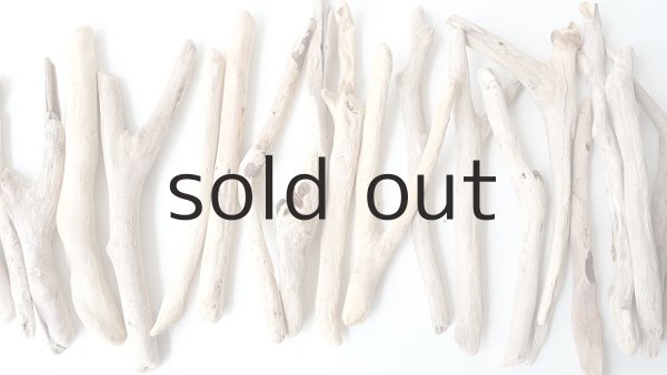 画像3: 小枝流木セット (3)